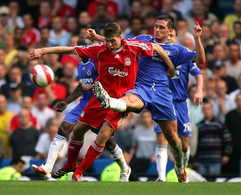 迷的目光 迷的目光