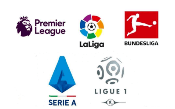 而主教练 而主教练